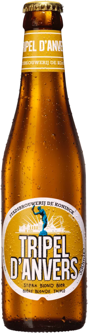 Tripel D'Anvers bottle