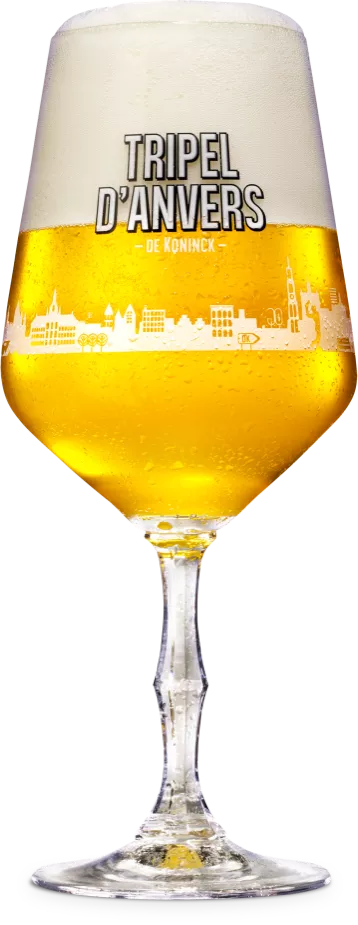 Tripel D'Anvers bierglas